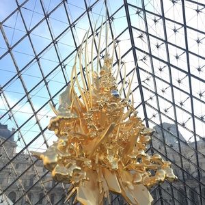 Meet your Posher, Sally